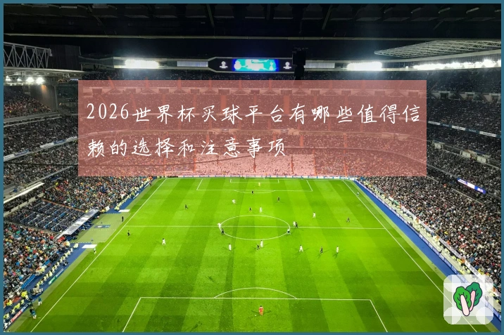 2026世界杯买球平台有哪些值得信赖的选择和注意事项