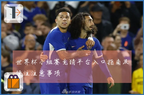 问鼎pg体育资讯图文